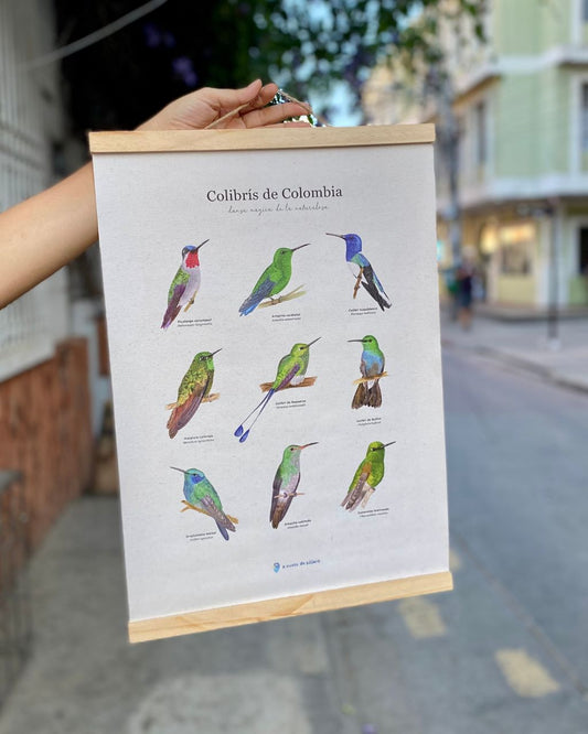 Lienzo de colibríes en tamaño de 35 x 50 cm.