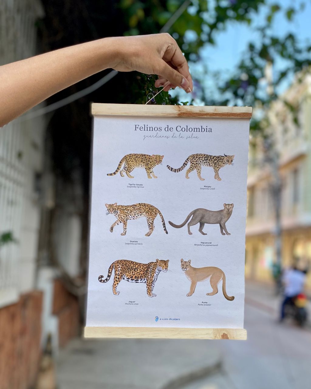 Lienzo de felinos en tamaño de 25 x 35 cm.