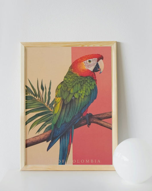 Poster: Guacamaya Bandera