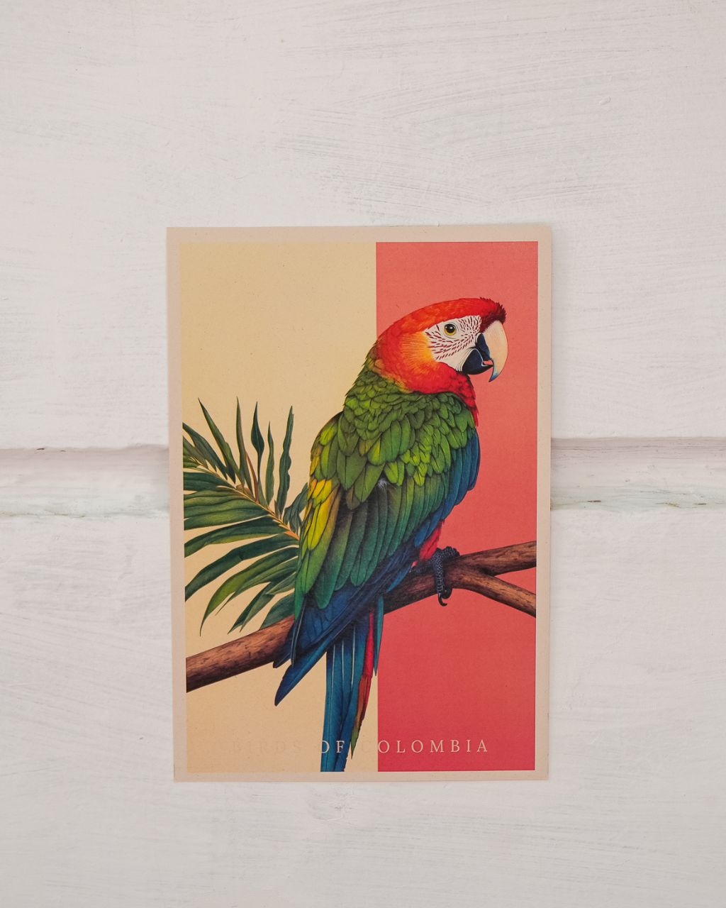 Poster: Guacamaya Bandera