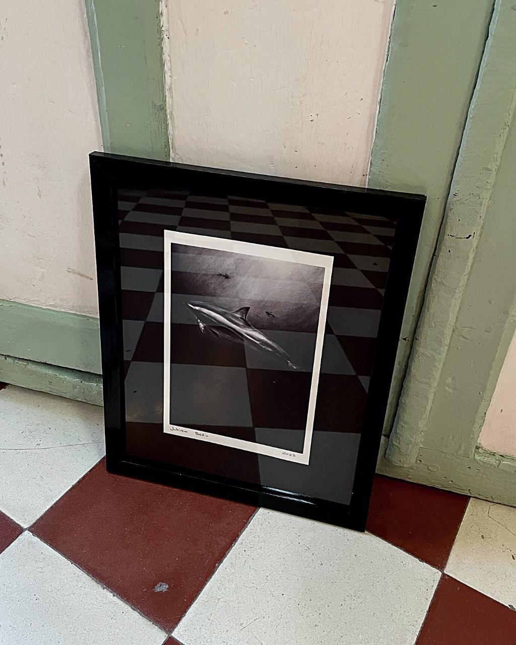 Prints en enmarcado artesanal de obras en carboncillo de especies marinas caribeñas, el delfín.
