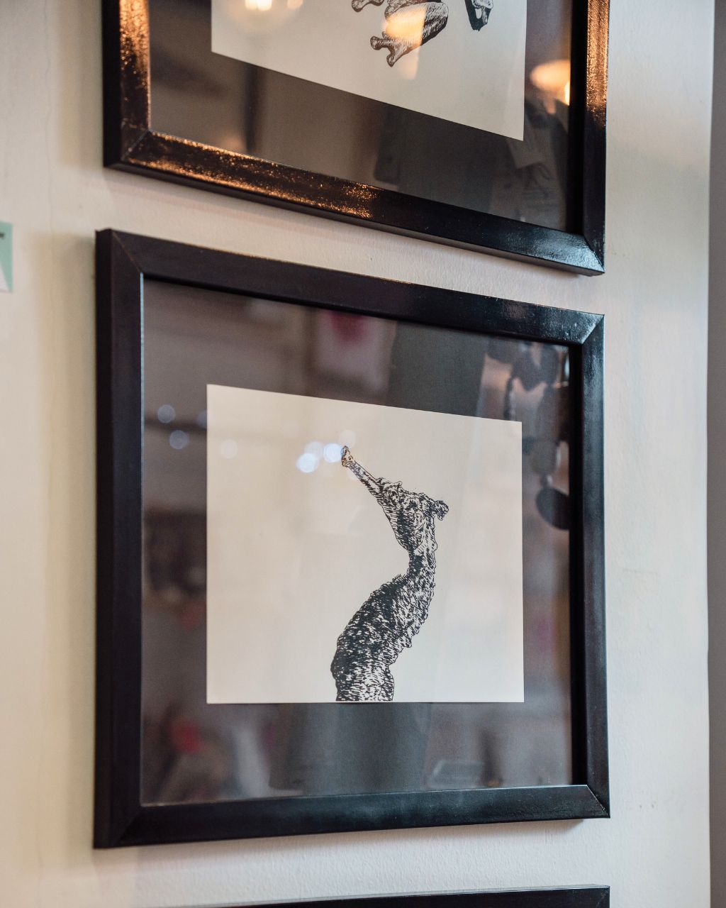 Prints: edición 'Animals'