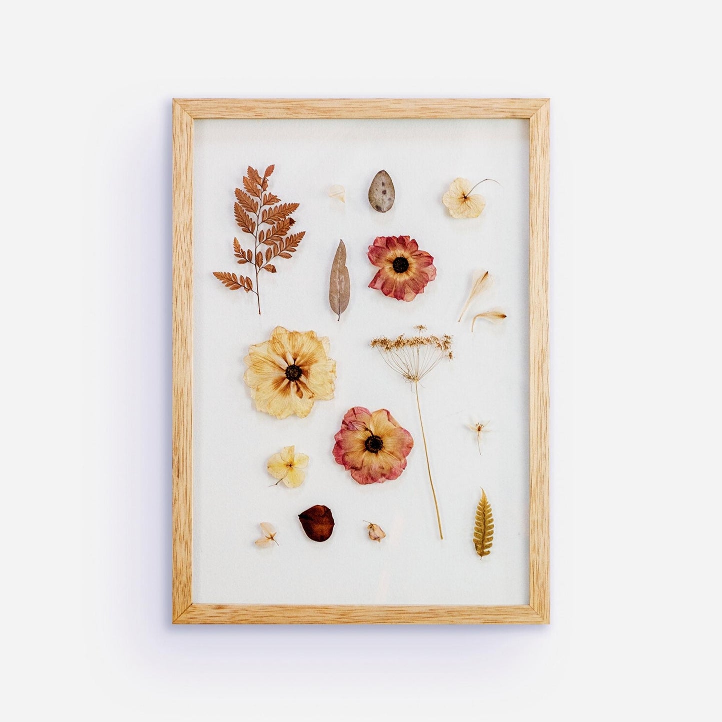 Cuadro de flores rojizas prensadas entre vidrios tamaño 35 x 50 cm