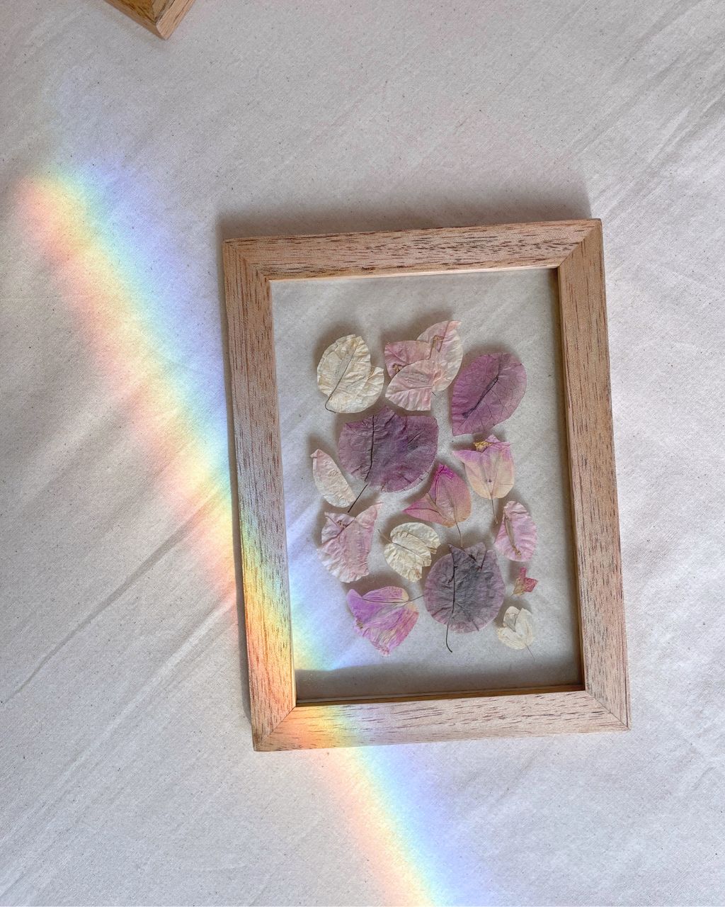 Cuadro de flores entre vidrios suspiro de bugambilias, tamaño mediano