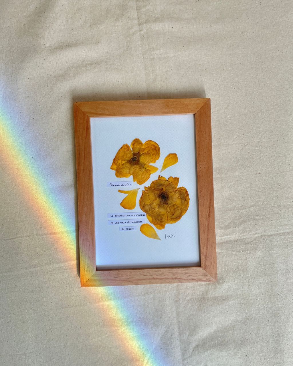 Cuadro al estilo herbario con significado de la flor ranúnculo, tamaño 17 x 23 cm.