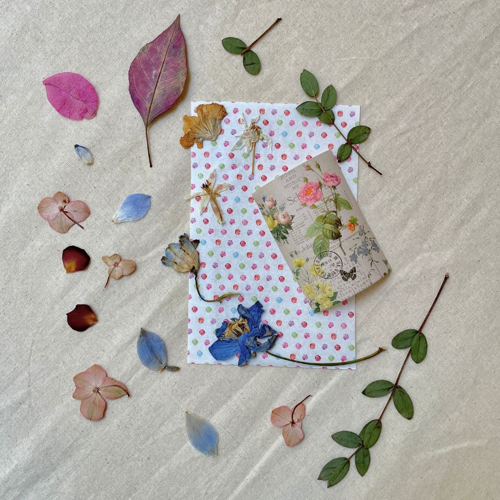 Kit de flores prensadas naturales y colombianas con papel de recortes y pegatina decorativa.