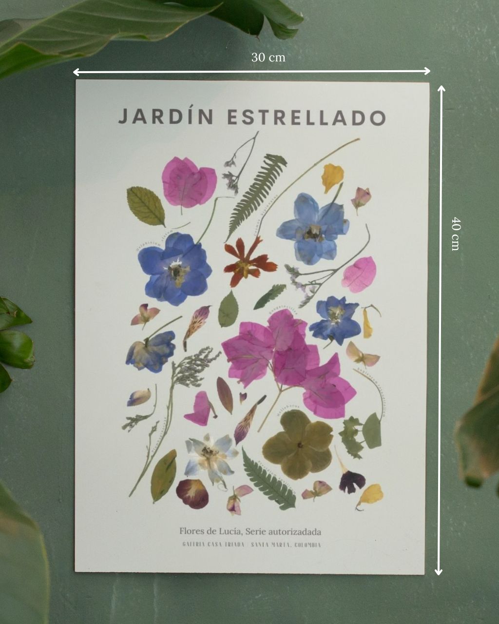 Poster de flores en tamaño 30 x 40 cm para decorar espacios.