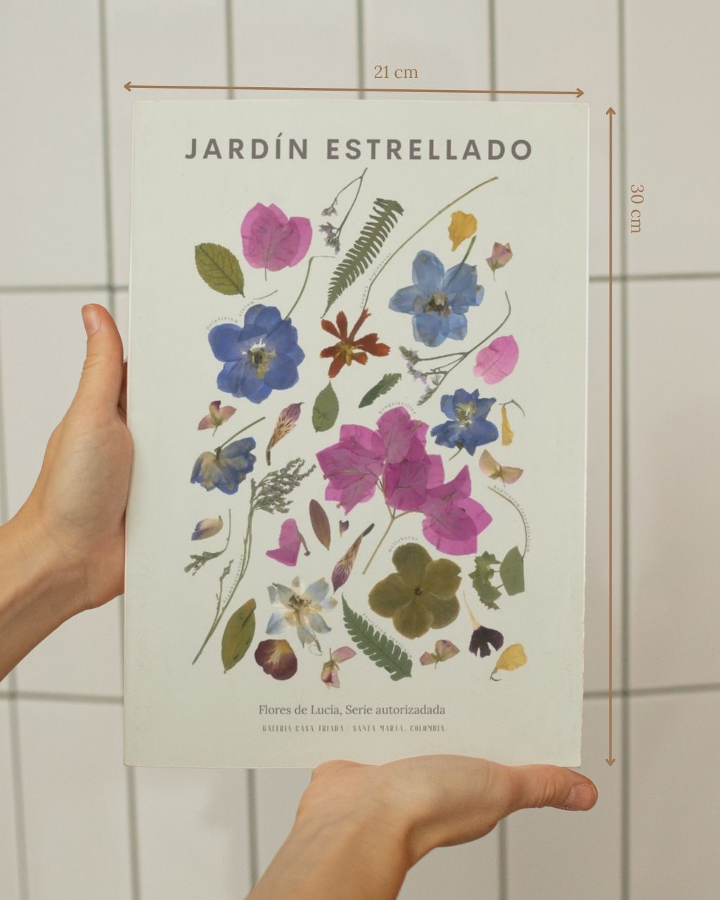 Poster de flores en tamaño 21 x 30 cm para decorar espacios.