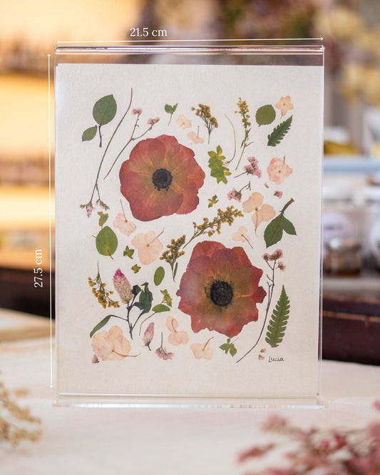 Prints de collage de flores colombianas prensadas autografiadas por la artista, con flores rojizas.