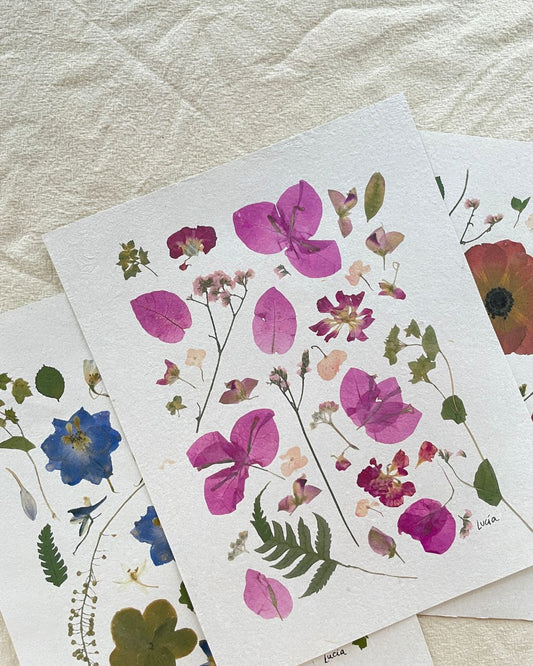 Prints de collage de flores colombianas prensadas autografiadas por la artista.