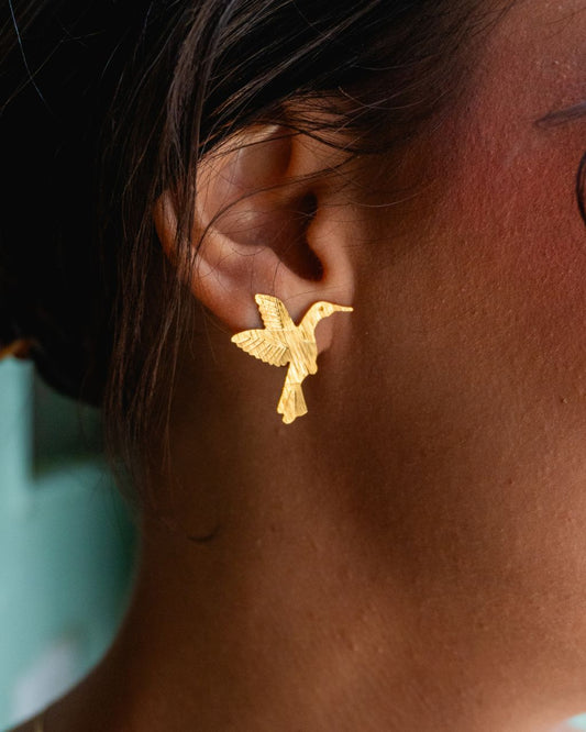 Accesorios de Colibrí Dorado