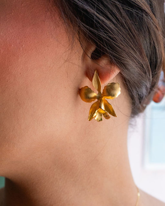 Accesorios de Orquídeas Doradas