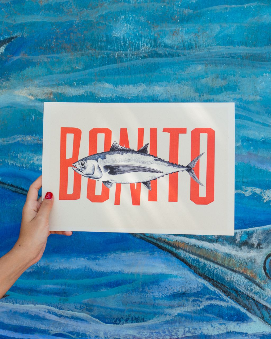 Poster: Bonito, el Pez del Caribe