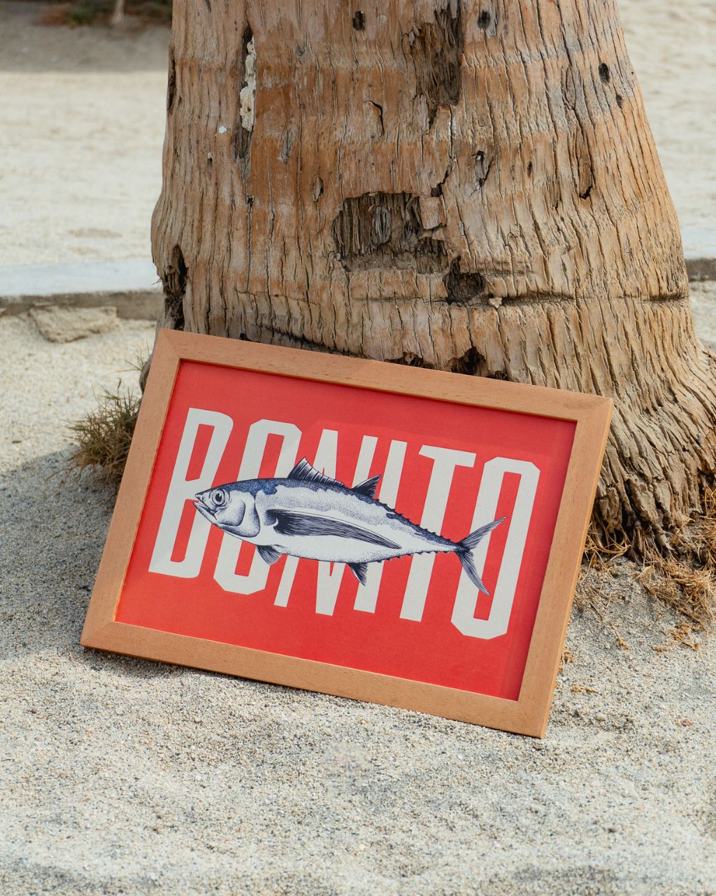 Poster: Bonito, el Pez del Caribe