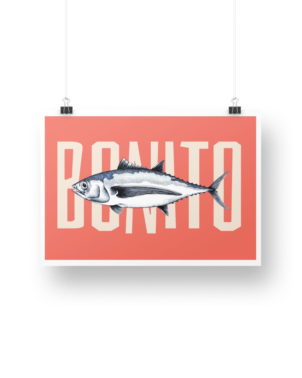 Poster: Bonito, el Pez del Caribe