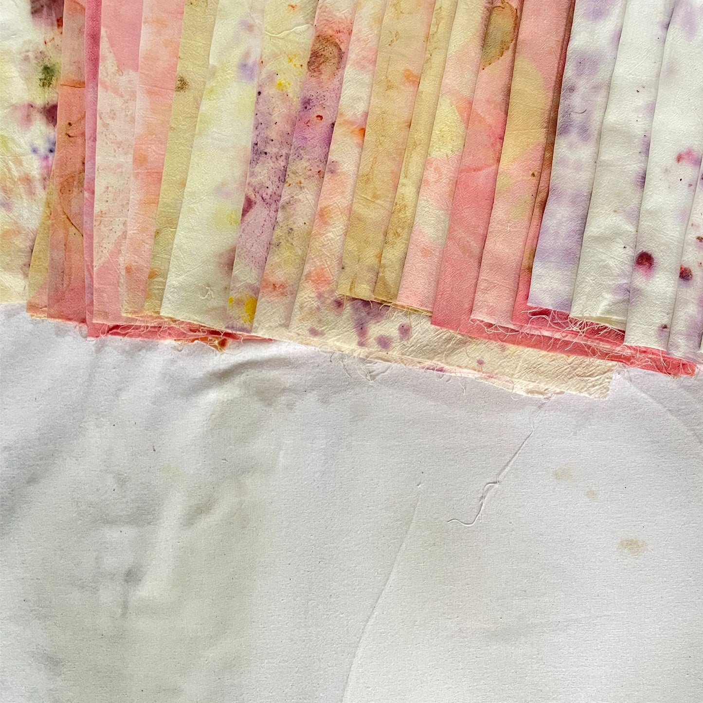 Taller presencial: Teñido Natural en Textiles