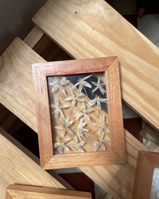 Colección 'Mosaico Florecido', cuadros entre vidrios