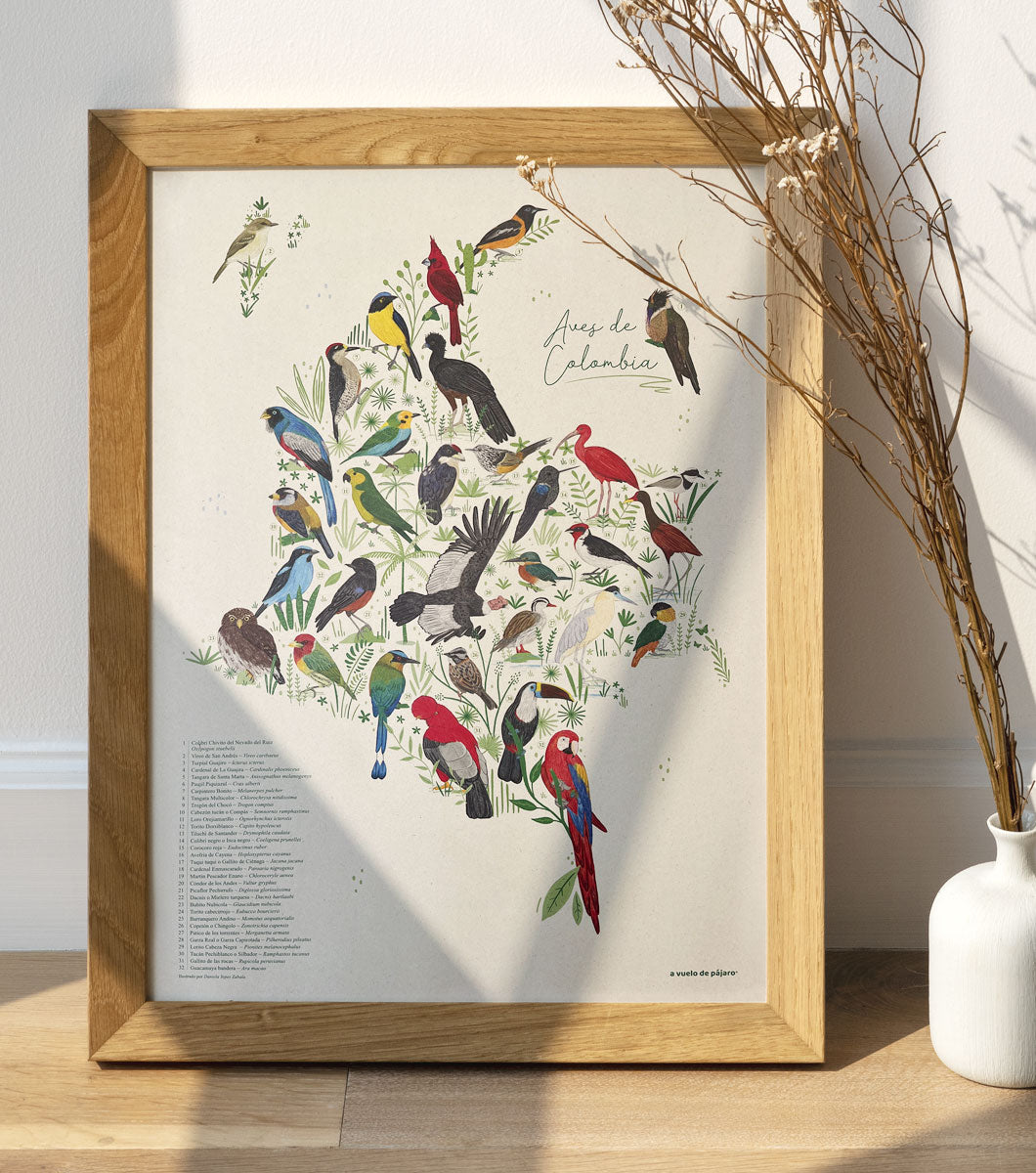 Mapa ilustrado Aves de Colombia