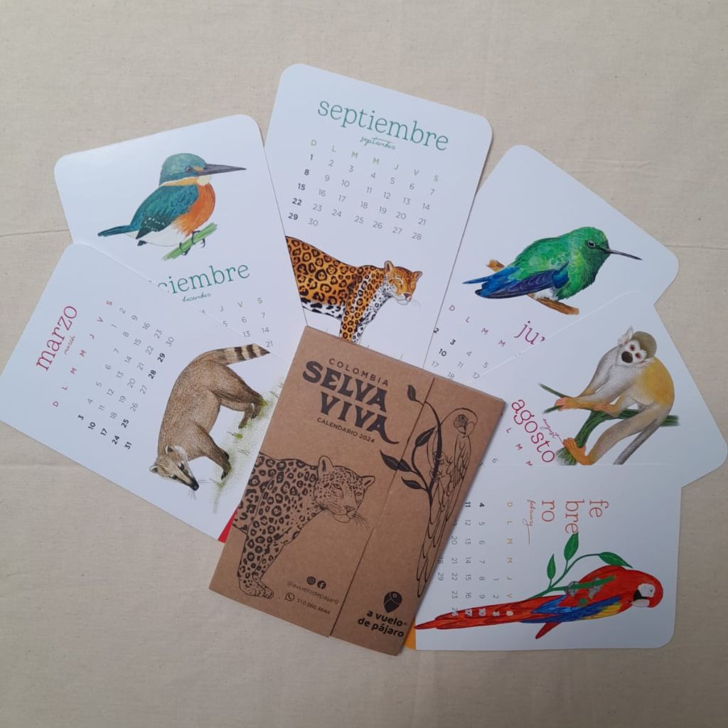 Calendario 2023 con ilustraciones de las 12 especies más icónicas de Colombia, también ideal como juego de flash cards para niños.