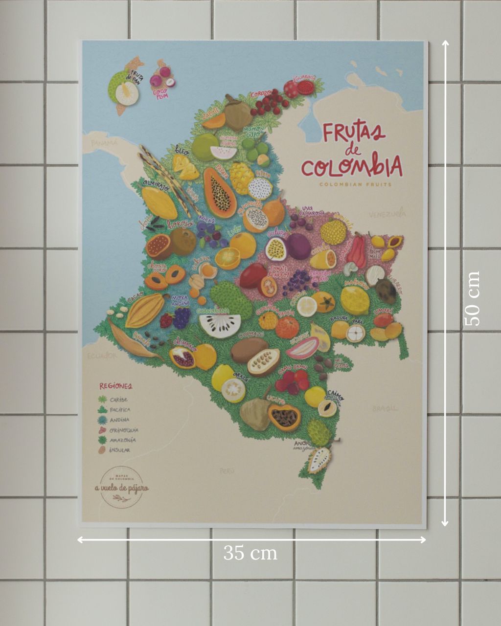 Mapa de frutas de Colombia, tamaño grande de 35 x 50 centímetros.