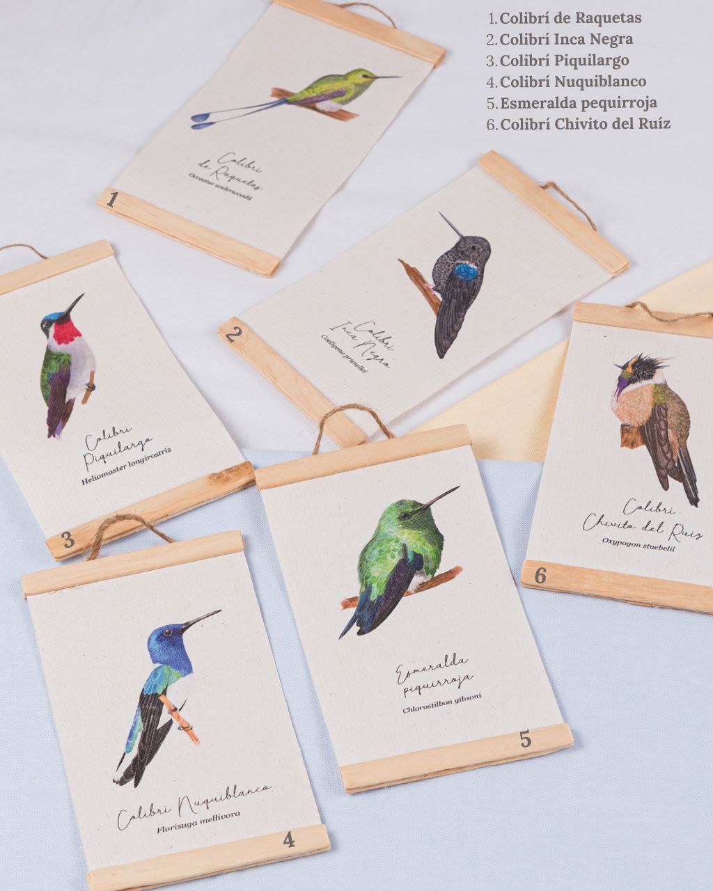 Colibríes de Colombia, capturados en lienzos para decorar tu espacio.