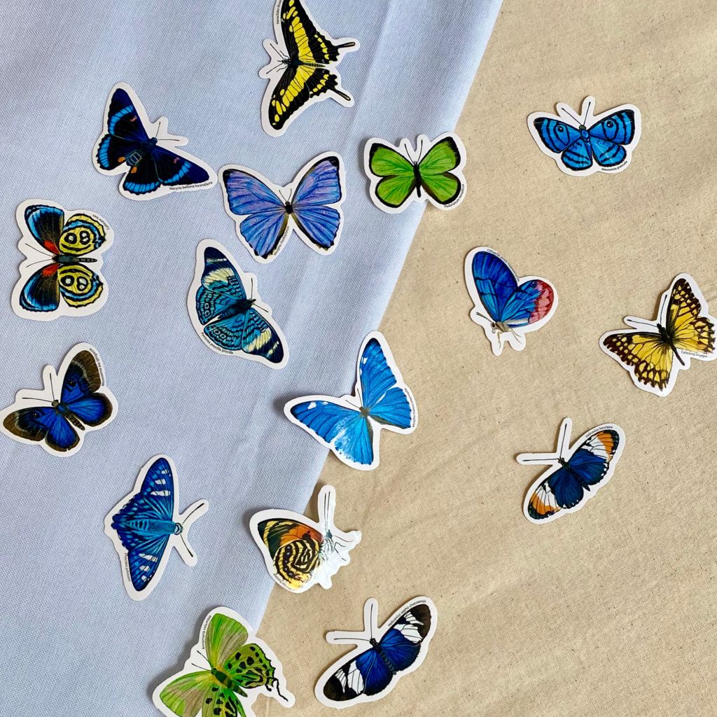 Mariposas de Colombia.
