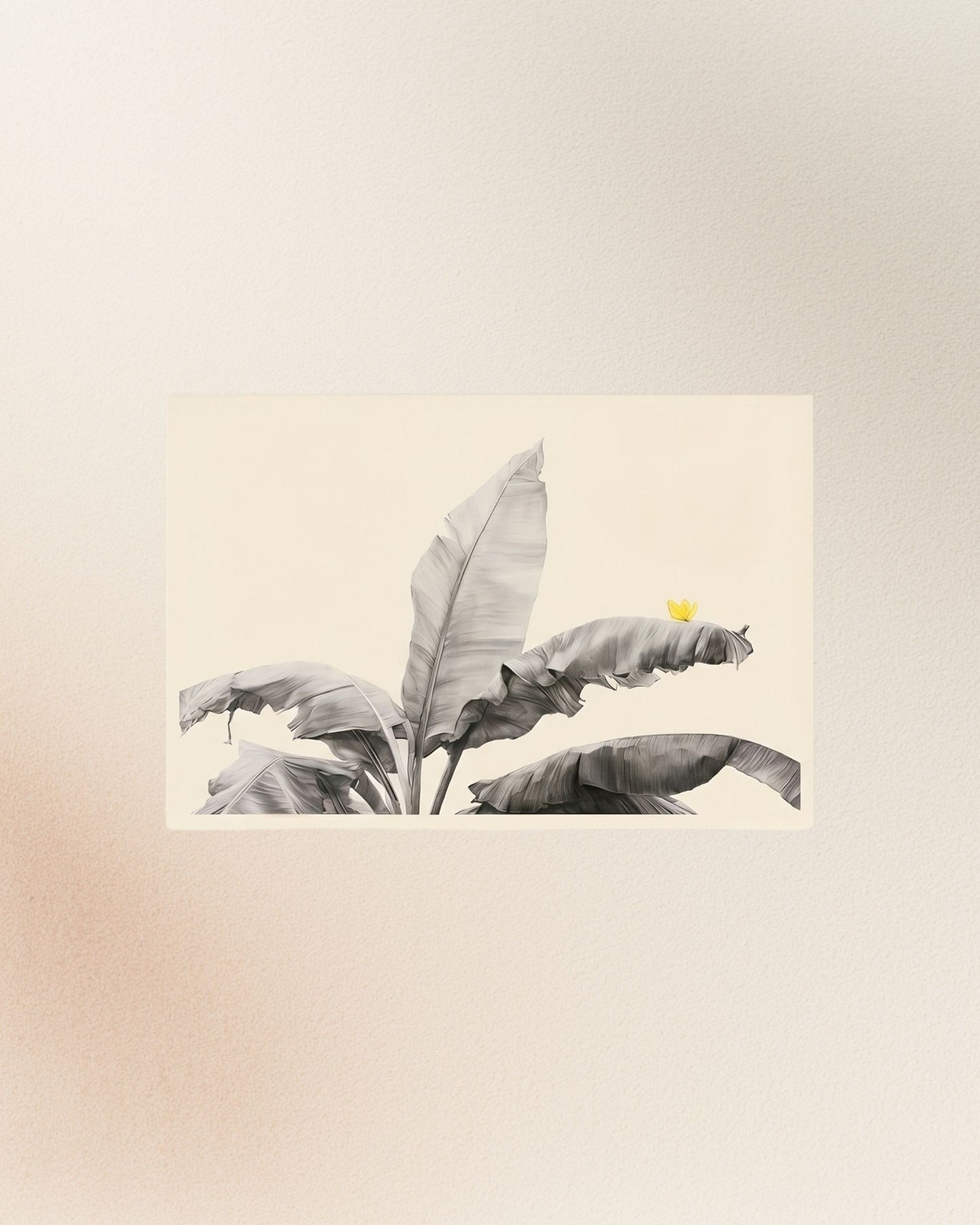 Poster: Plátano y Mariposa Amarilla