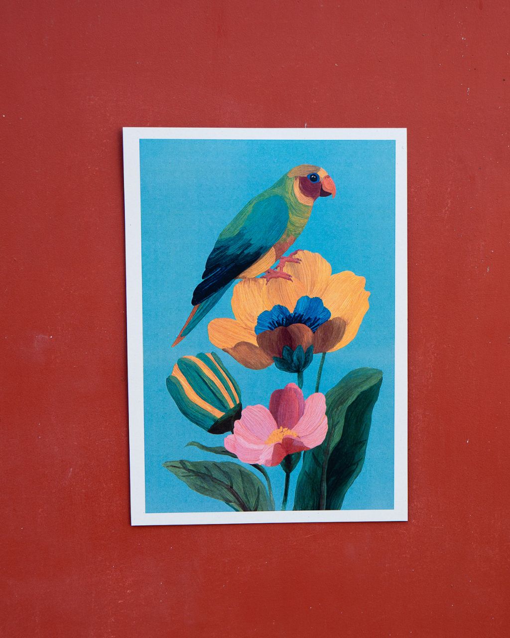 Poster: Loro Cabeciazul