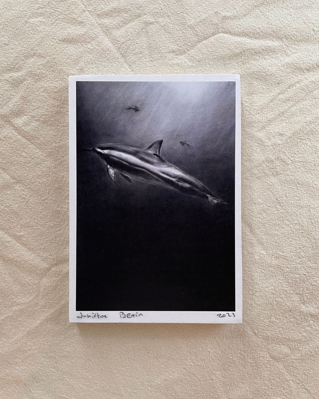 Prints en retablo de obras en carboncillo de especies marinas caribeñas, el delfín.
