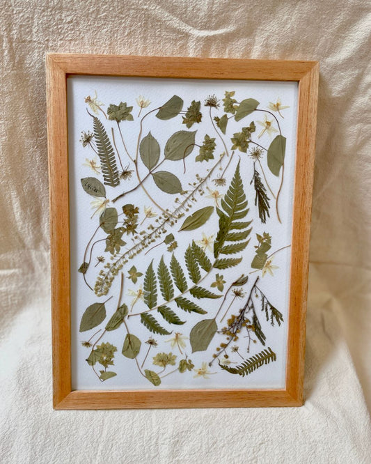 Collage con flores y hojas prensadas de color verde, protegidos en marco de madera natural y vidrio.