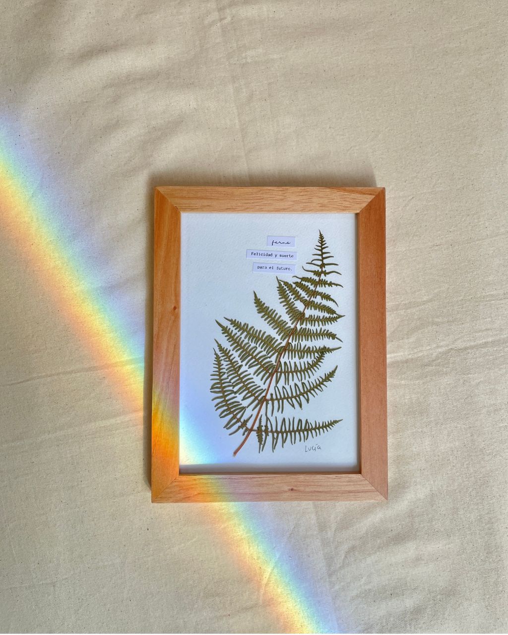 Cuadro al estilo herbario con significado de la hoja fern, tamaño 17 x 23 cm.