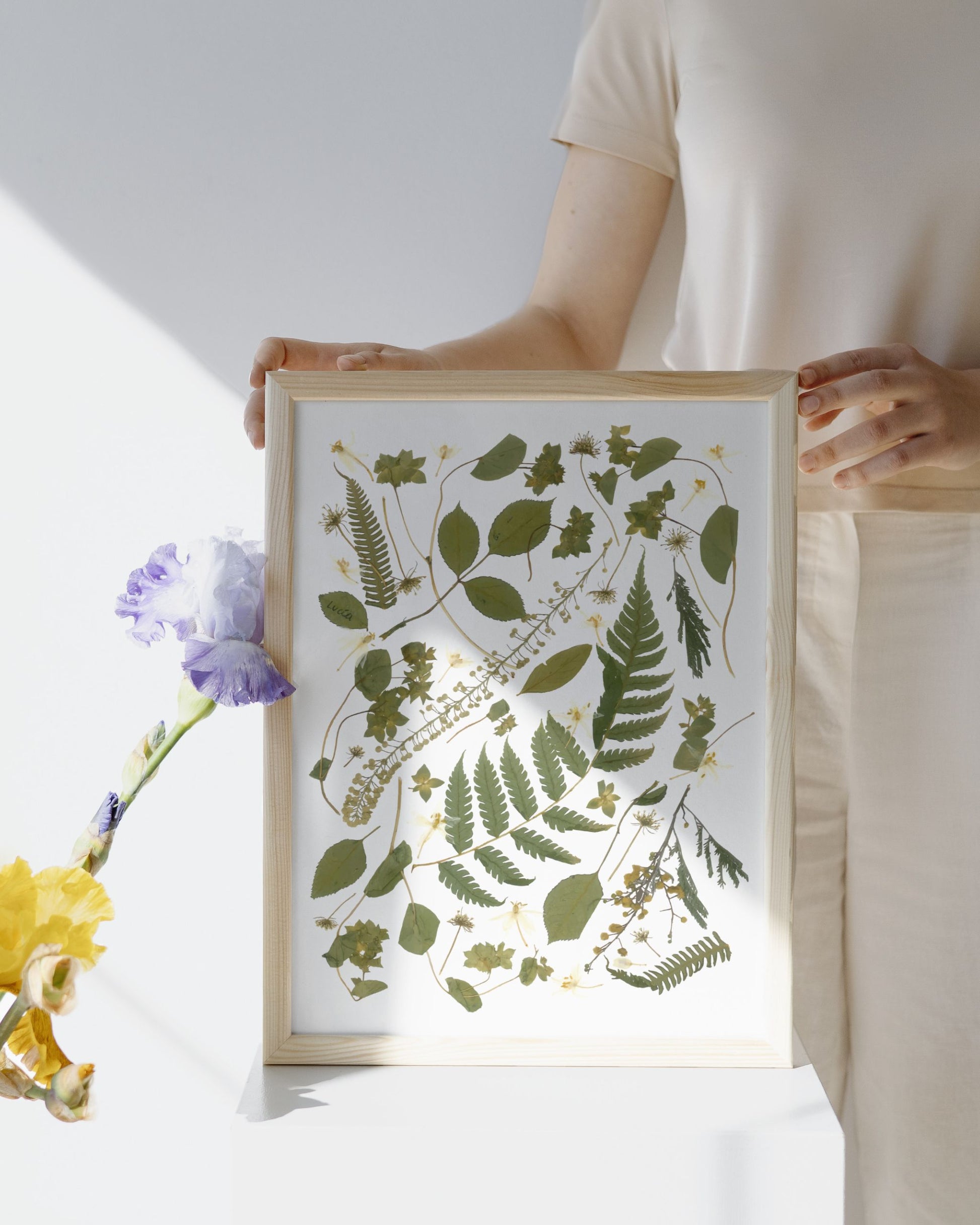 Print con marco de collage de flores colombianas prensadas autografiadas por la artista, con hojas verdes.