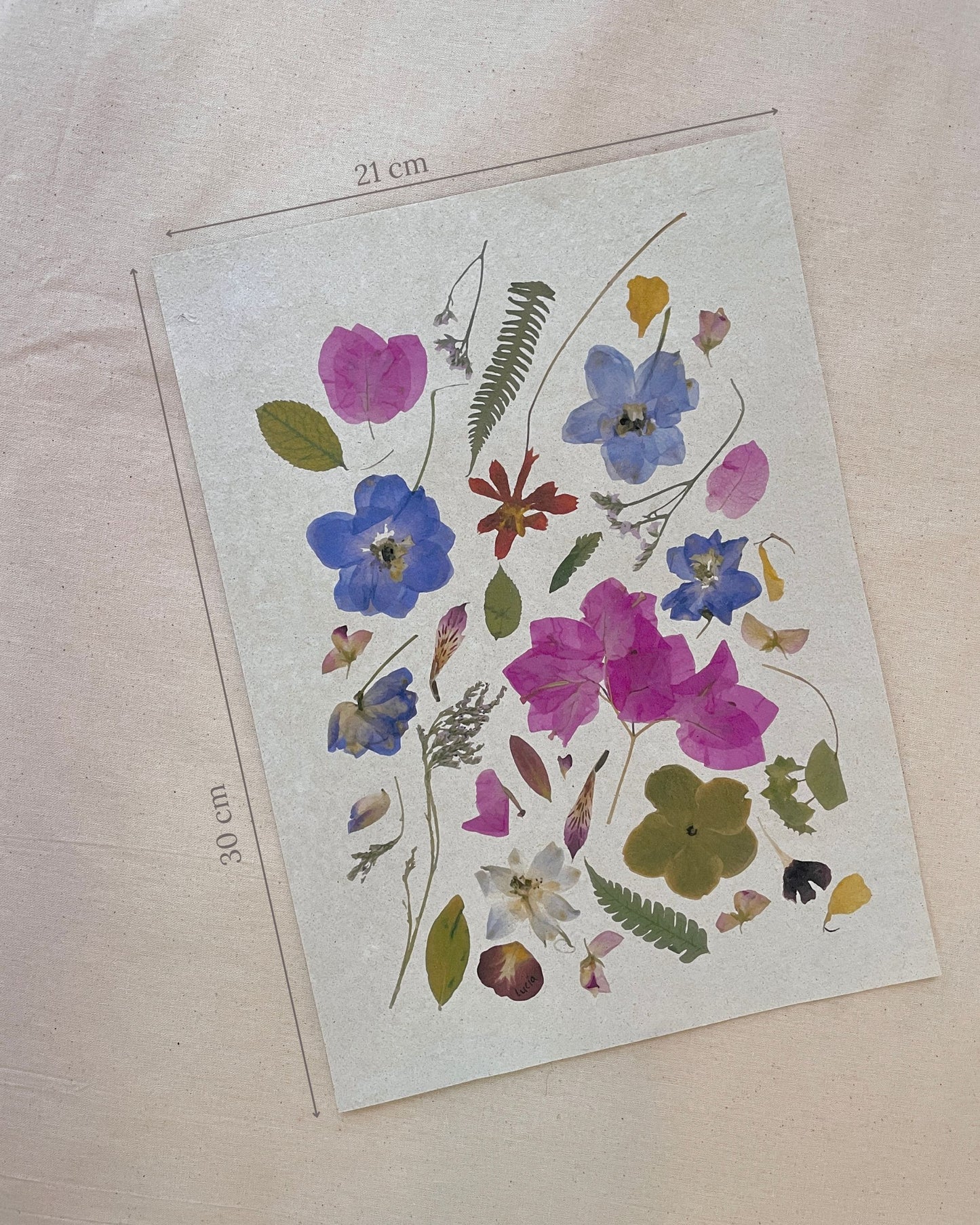 Prints de collage de flores colombianas prensadas autografiadas por la artista, con flores de todos los colores.