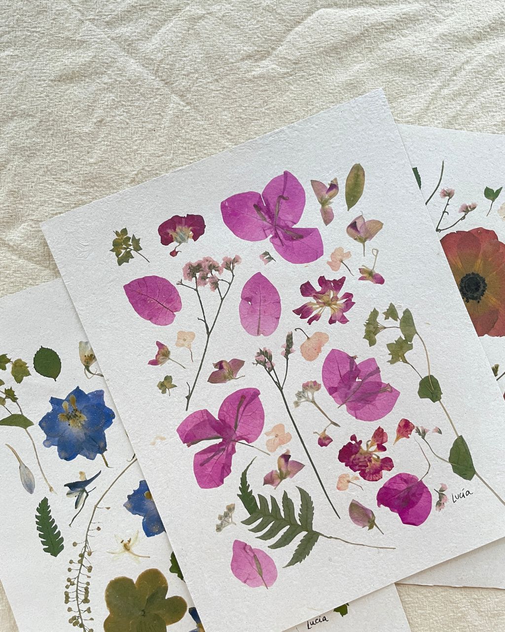 Prints de collage de flores colombianas prensadas autografiadas por la artista.