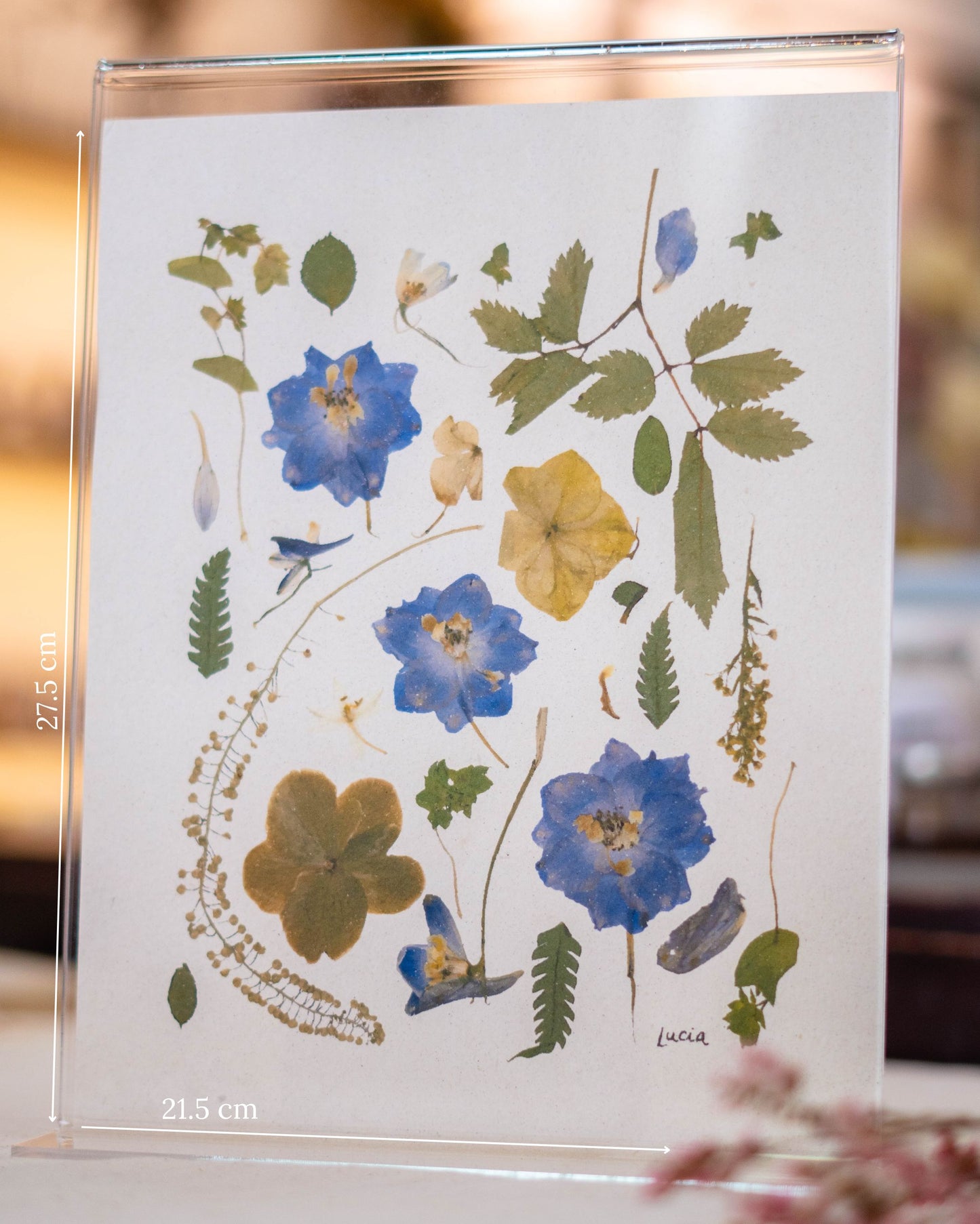 Prints de collage de flores colombianas prensadas autografiadas por la artista, con flores azules.
