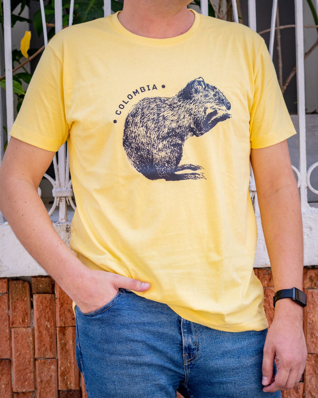 Camisetas con dibujo del Ñeque – Casa Triada