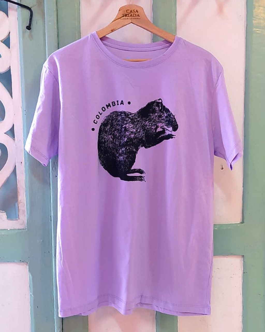 Camisetas con dibujo del Ñeque – Casa Triada
