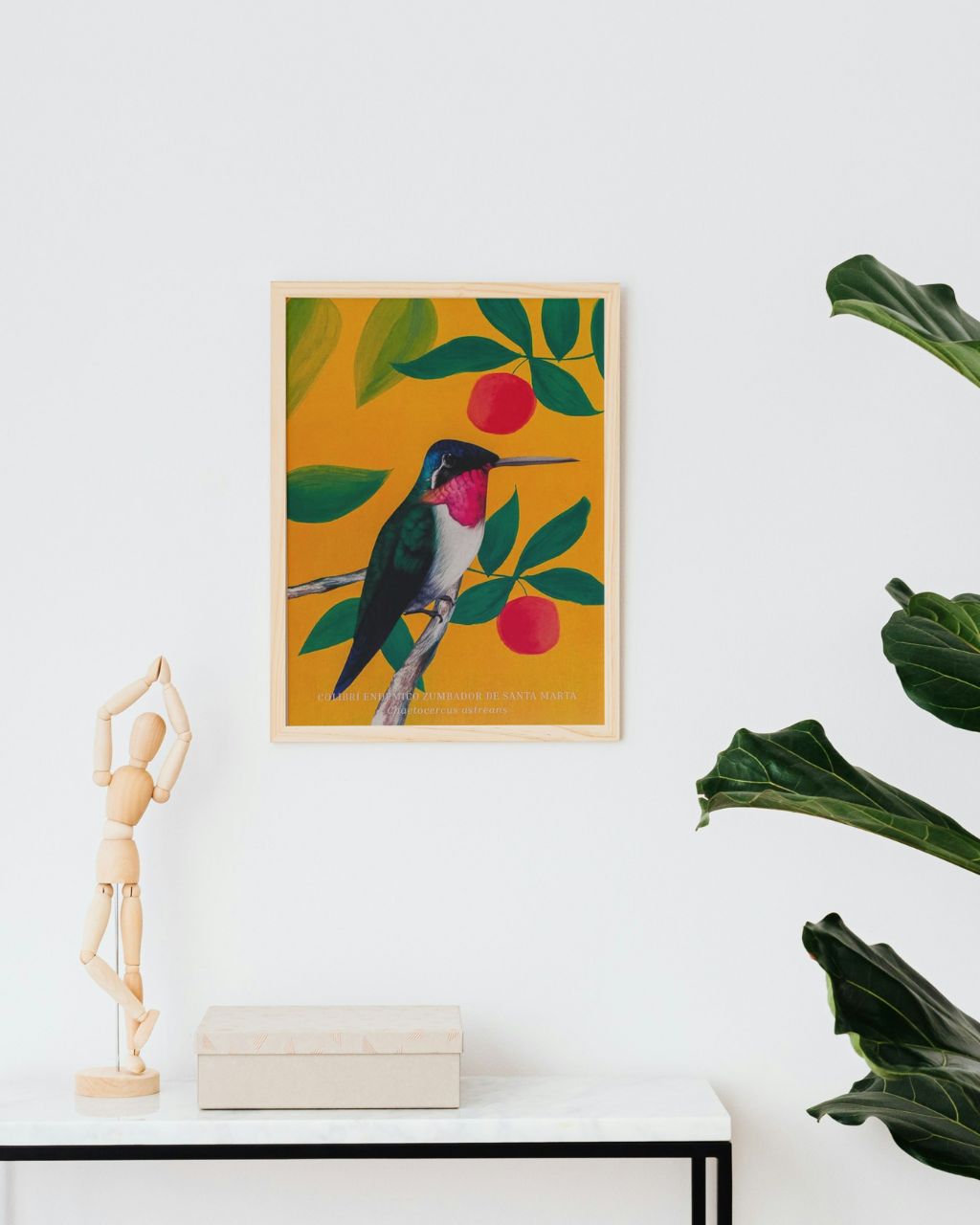 Posters: Aves de Santa Marta