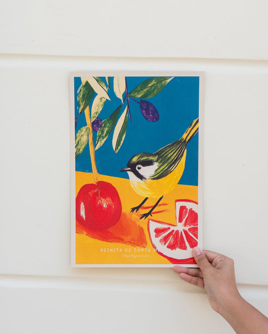 Poster: Reinita de Santa Marta