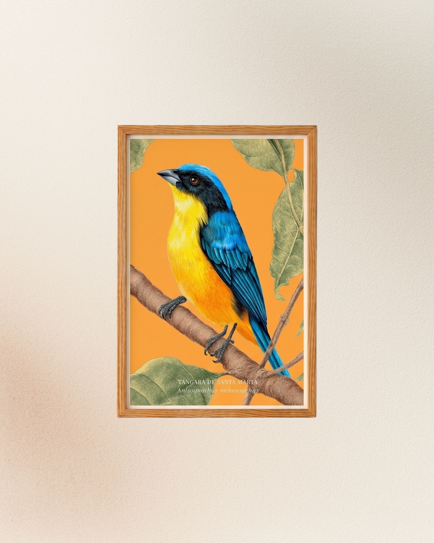 Posters: Aves de la Sierra Nevada