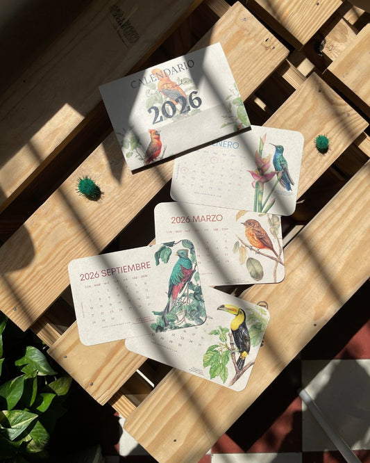 Calendarios ilustrados 2026