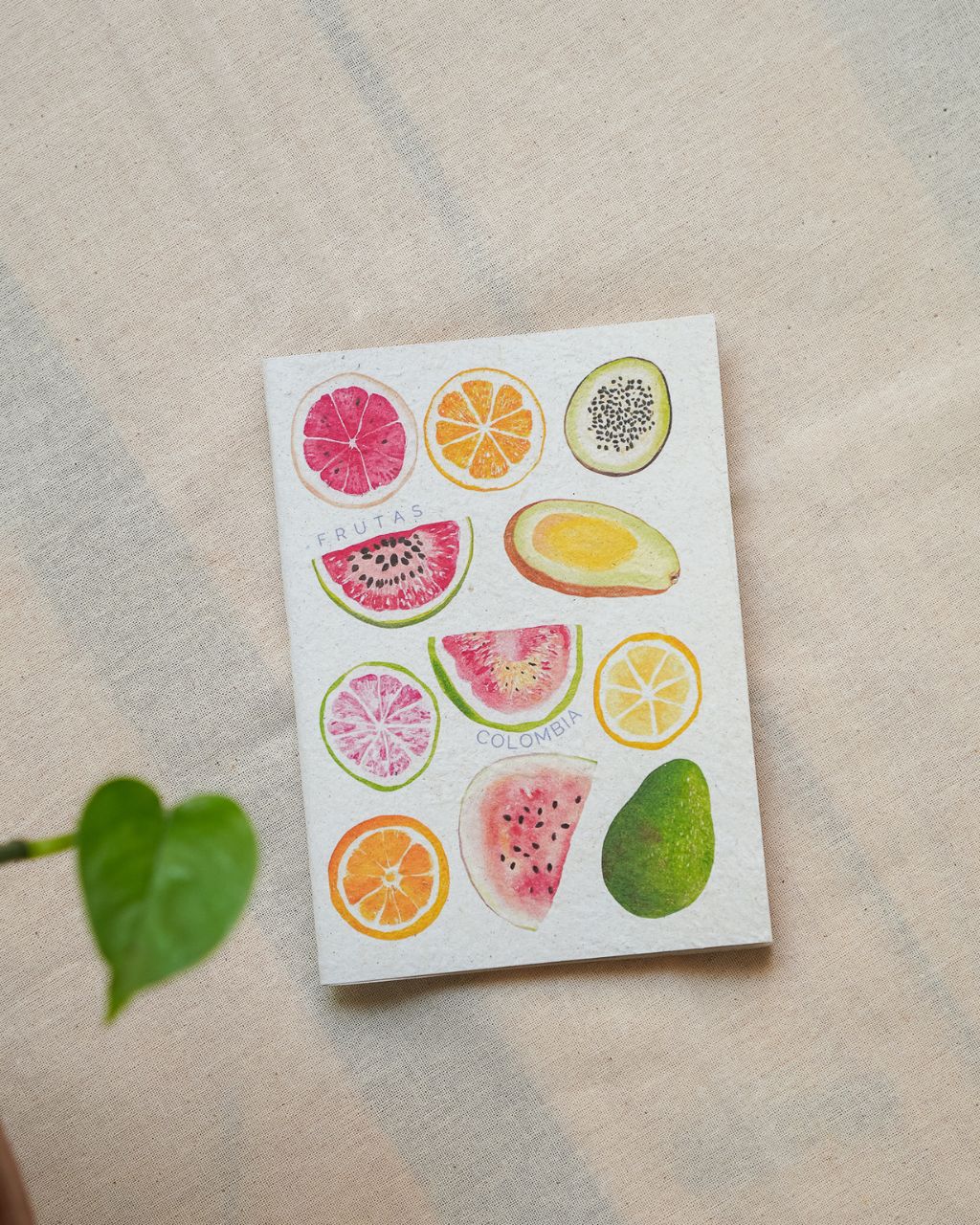 Cuadernillos ecológicos y colombianos