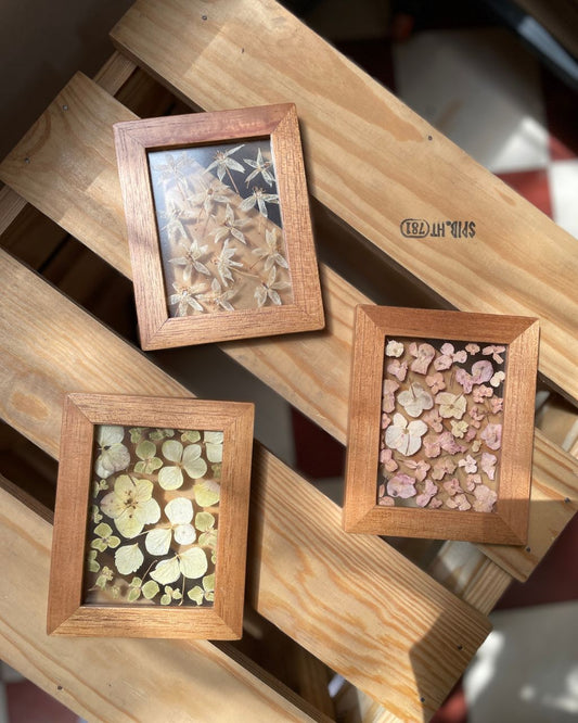 Colección 'Mosaico Florecido', cuadros entre vidrios