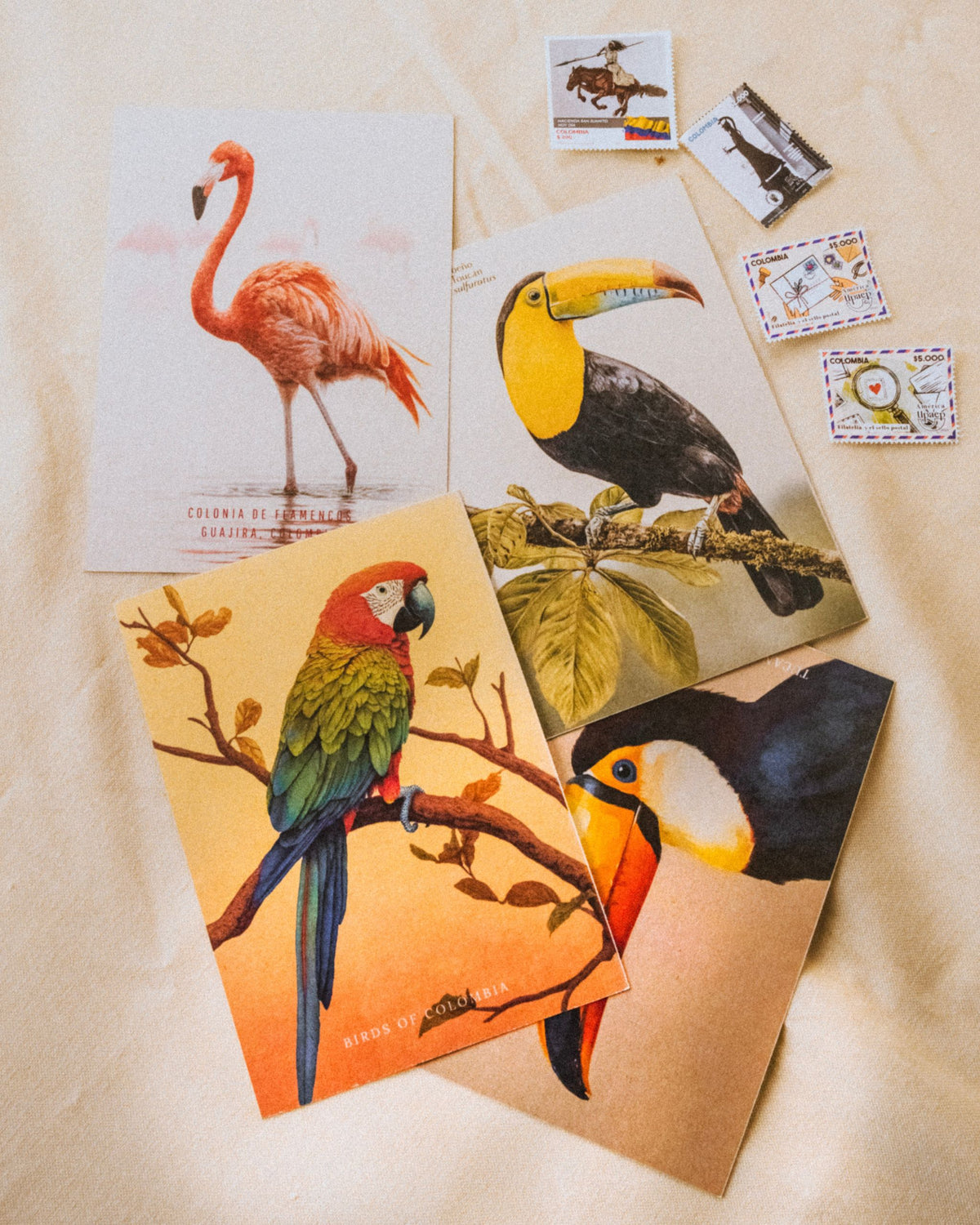Kit de postales Paisajes del Caribe, con ilustraciones de Aves icónicas de la región