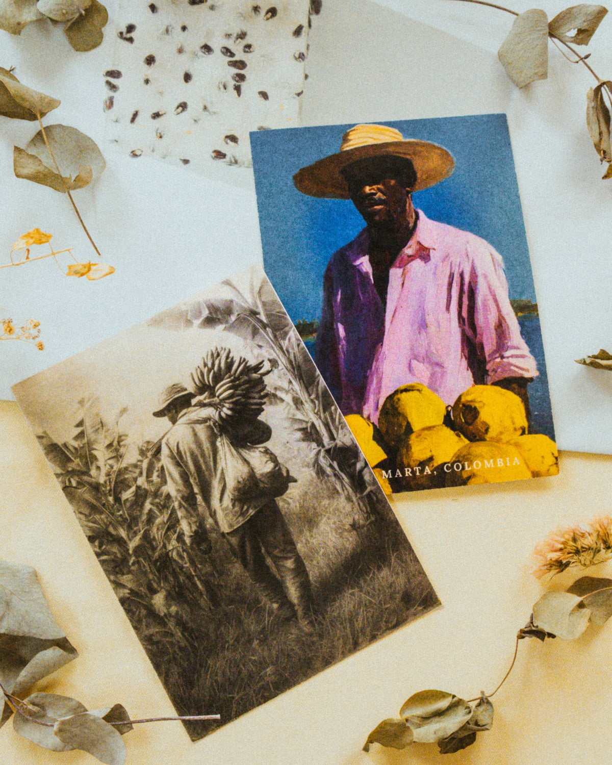 Kit de postales Agricultura local, con escenas campesinas y memoria visual del Caribe colombiano