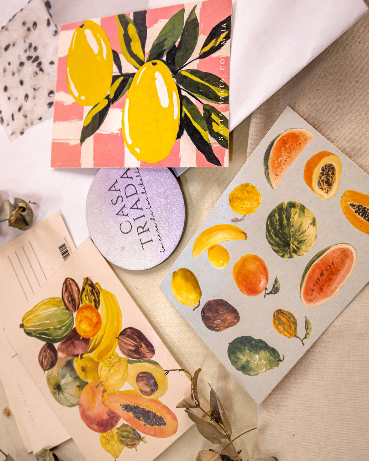 Kit de postales Frutas de Colombia, con ilustraciones de frutas tropicales y detalles botánicos