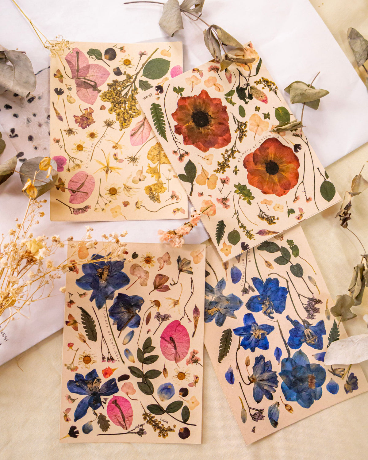 Kit de postales Mosaico de flores prensadas, con composiciones botánicas de flores, hojas y pétalos