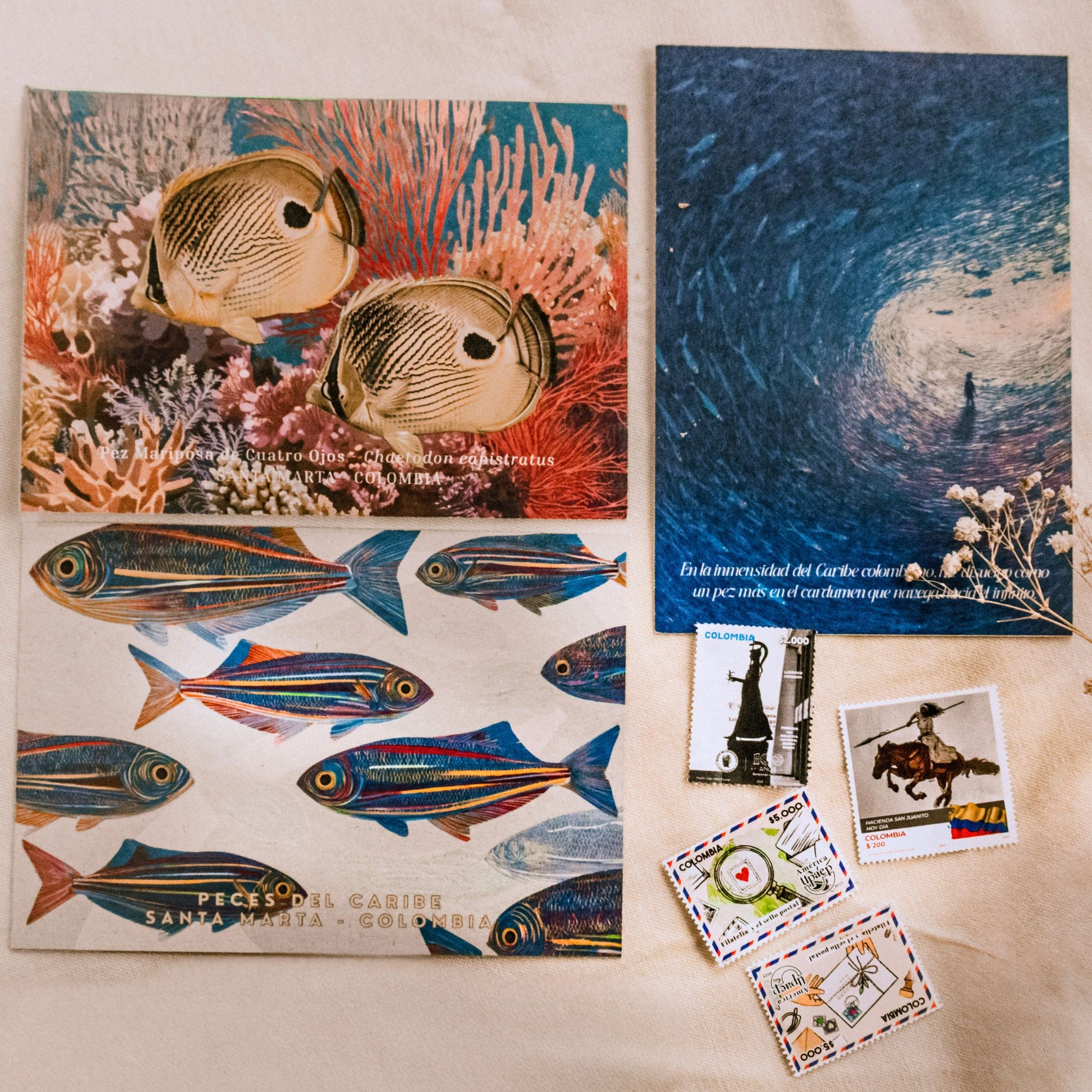 Kit de postales Peces y la inmensidad del mar, con especies marinas e imágenes inspiradas en el Caribe colombiano