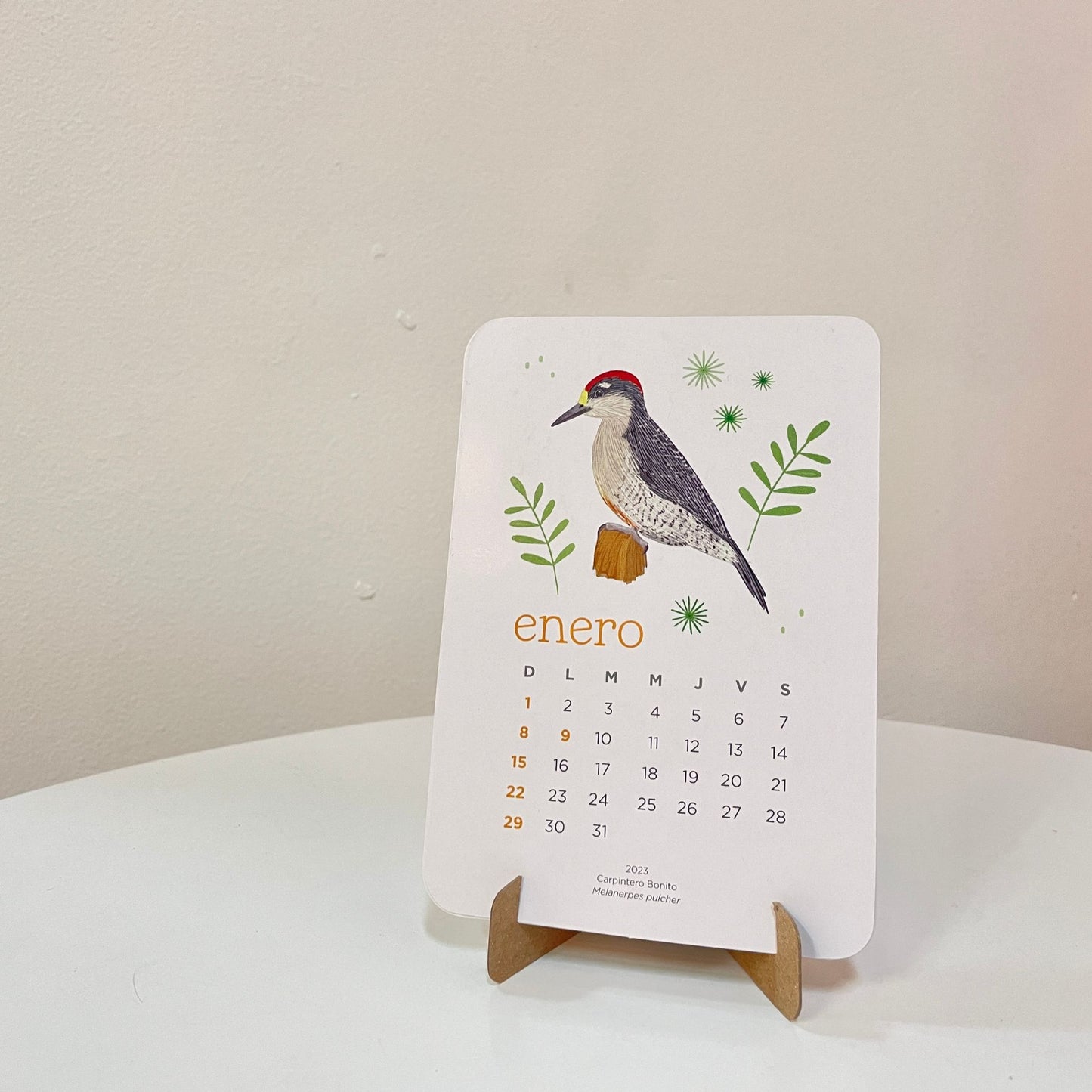 Calendario 2023 para el escritorio con ilustraciones de las 12 aves más icónicas de Colombia.