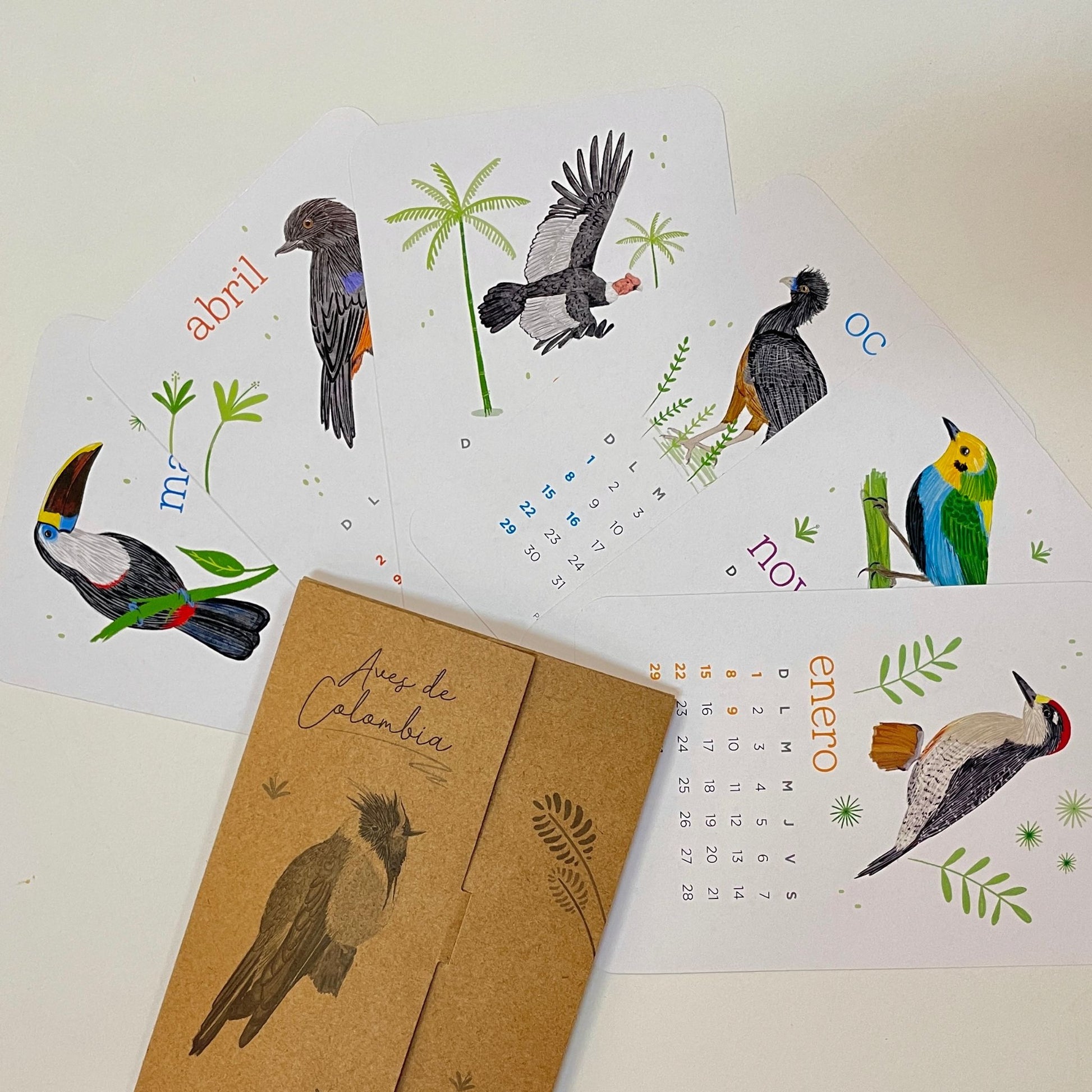 Calendario 2023 con ilustraciones de las 12 aves más icónicas de Colombia, también ideal como juego de flash cards para niños.